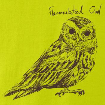 Výrček ohnivý  flammulated owl Výrček ohnivý  flammulated owl