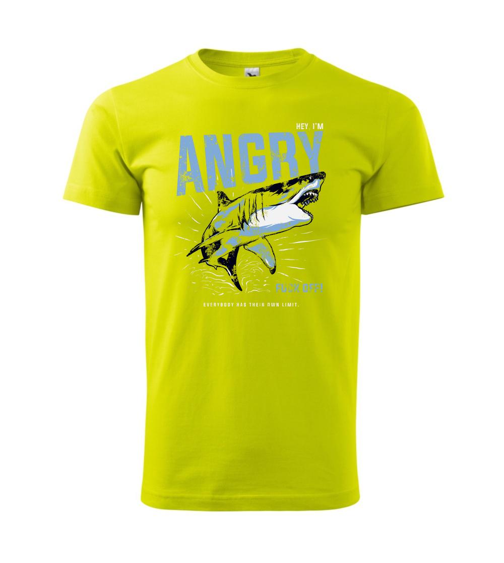 Shark angry Shark angry