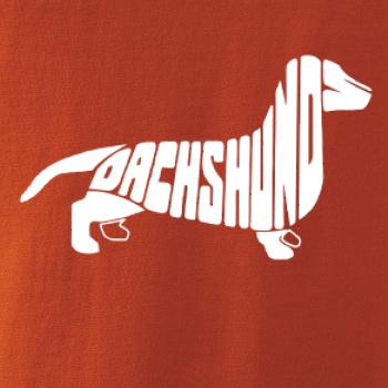Jazvečík - Dachshund