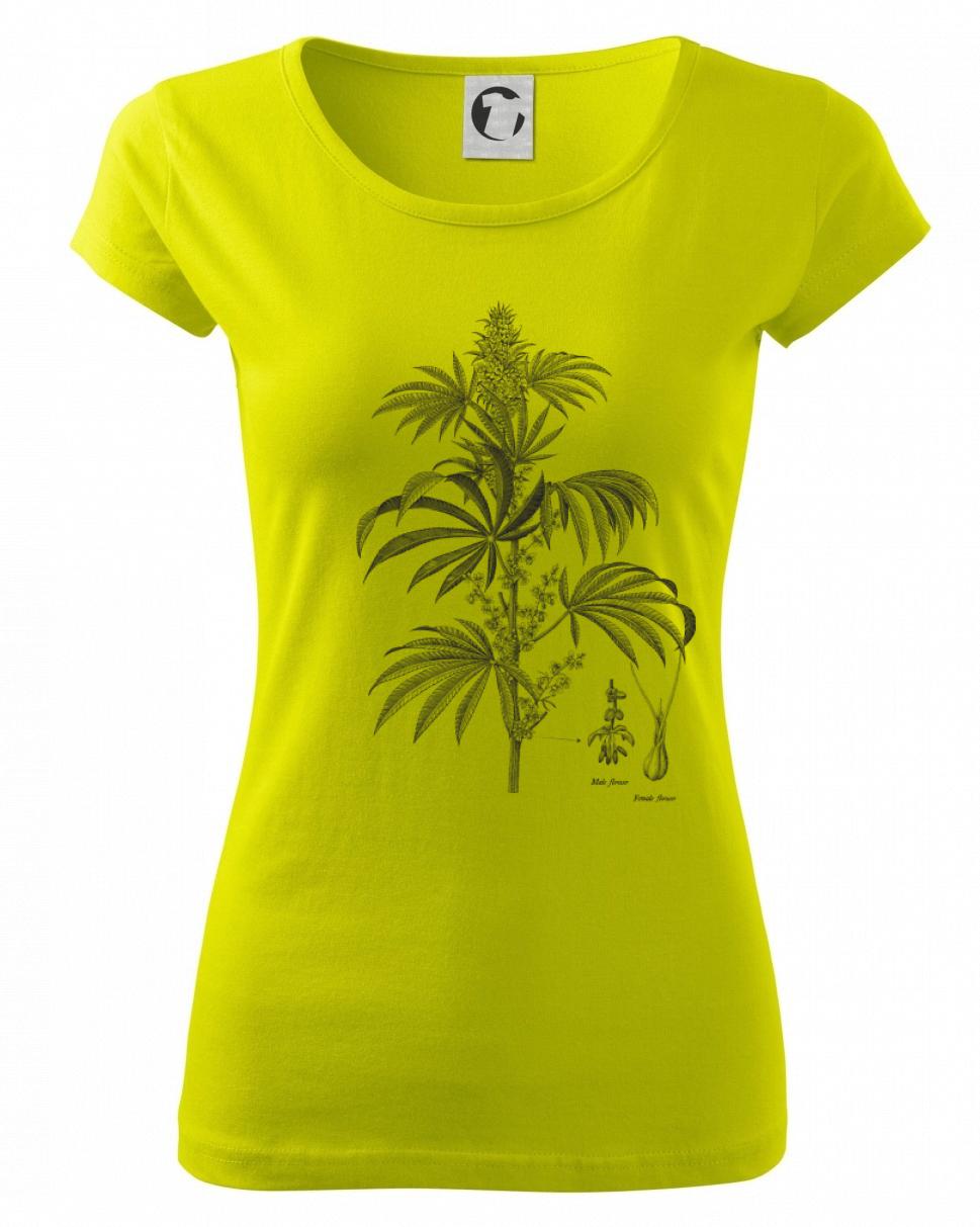 Konope kvietok čiernobiely   Konope kvietok čiernobiely