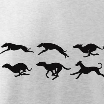 Chrt Pohyb Chrt Pohyb