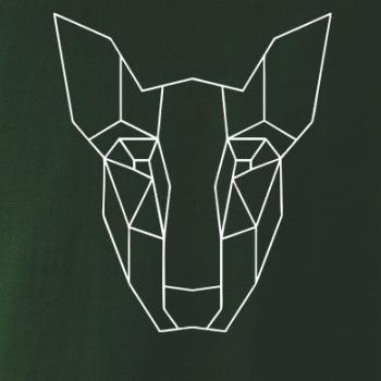 Americký Pit Bull Teriér - Geometria