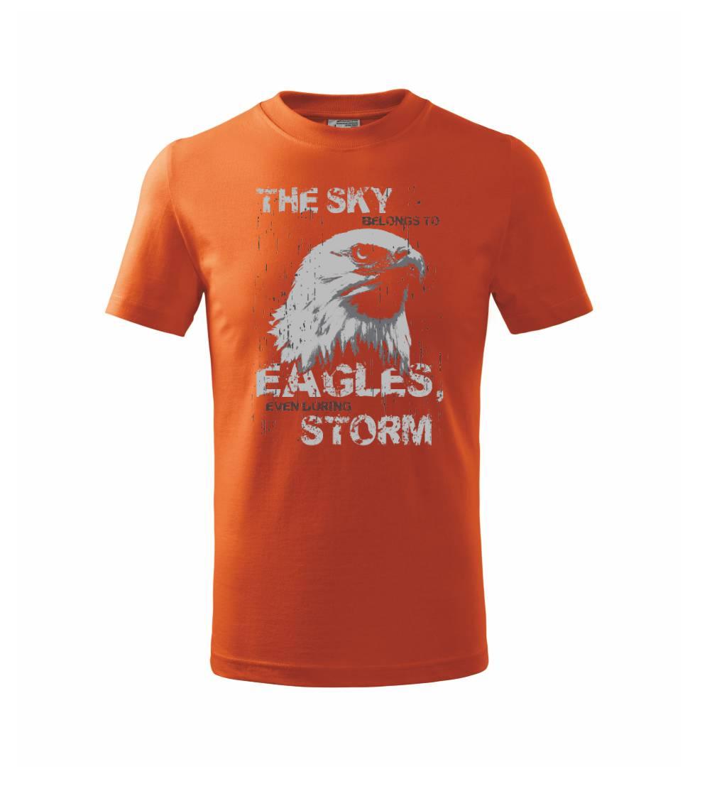 Tričká so zvieratami - Eagle skystorm - Tričko detské bavlnené