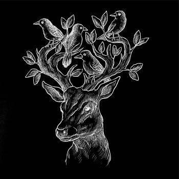 Jeleň ochranca prírody