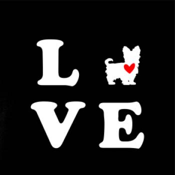 Yorkshire terier love