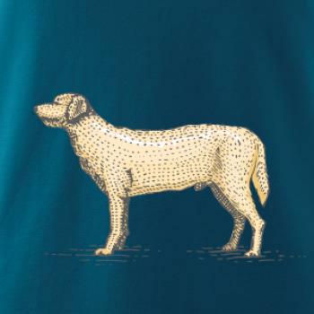 Vintage Labrador