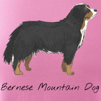 Bernese mountain dog kreslený