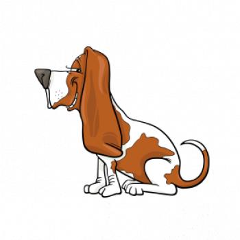 Baset s kulišáckým pohľadom