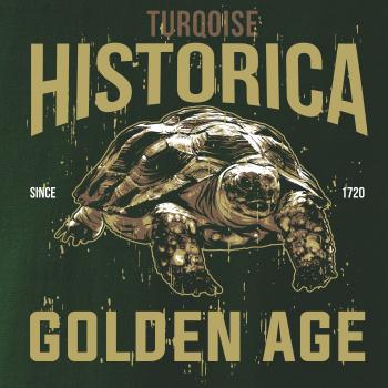 Turtle age Turtle age