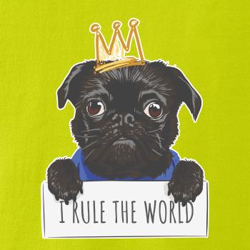 Mops - I rule the world