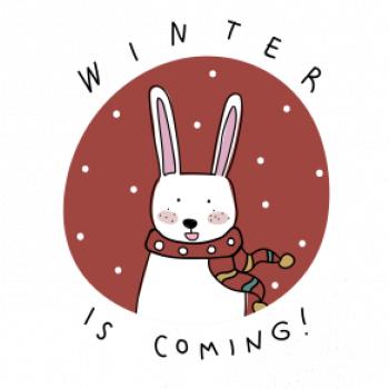 Winter is coming zajac