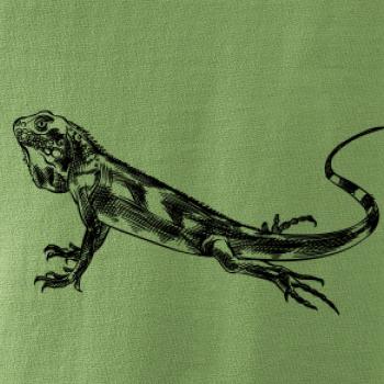 Ceruzkou kreslený Leguán