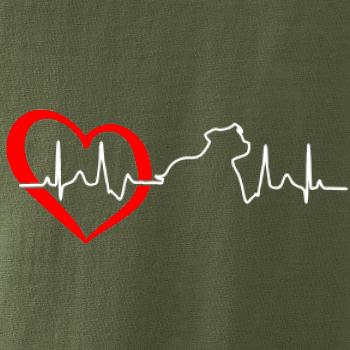 Stafordšírsky bulteriér  EKG Stafordšírsky bulteriér  EKG