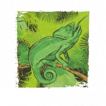 Chameleon na vetve