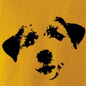 Jack Russell Terriér - hlava