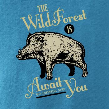  Wild forest diviak