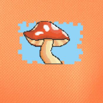 Gamer - stará hra - huba