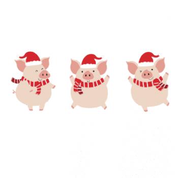 Vianočné prasiatka Vianočné prasiatka
