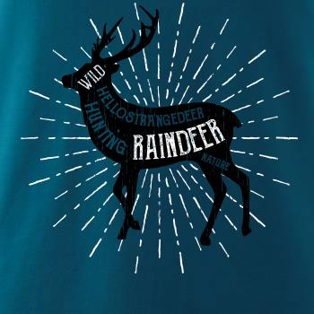 Deer raindeer