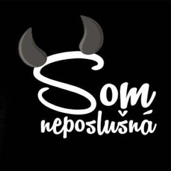 Som neposlušná