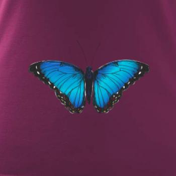 Motýľ Babôčka Morpho Peleides