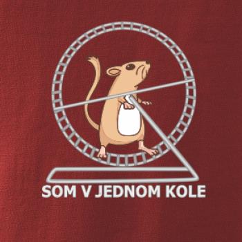 Som v jednom kole
