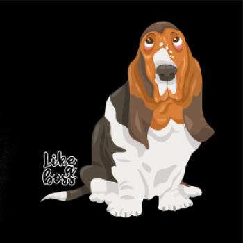 Baset - like a boss Baset - like a boss