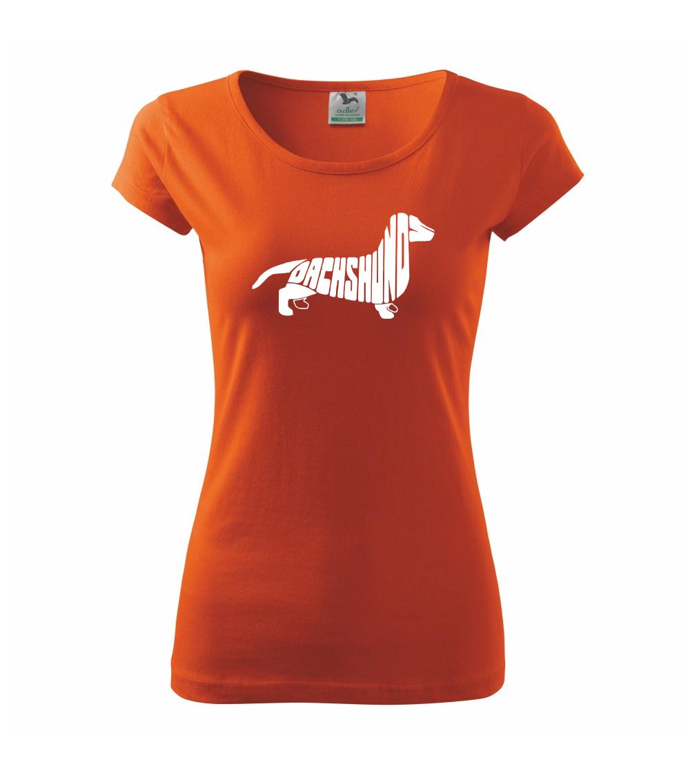 Jazvečík - Dachshund Jazvečík - Dachshund