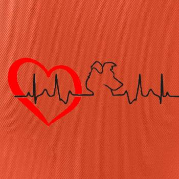 Borderská kólia EKG Borderská kólia EKG