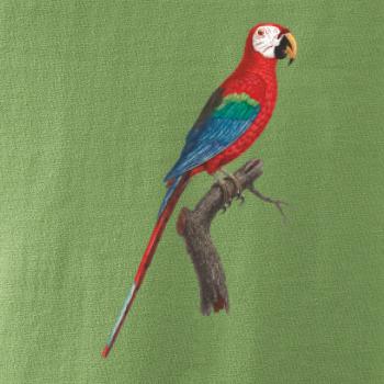 Papagáj červený na vetve