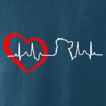 Bernský salašnický pes EKG