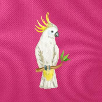 Papagáj Kakadu kreslený Papagáj Kakadu kreslený