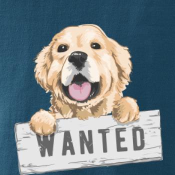 Zlatý retriever - šteniatko wanted