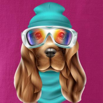 Jazvečík lyžiar   Jazvečík lyžiar