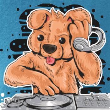 DJ Teddy DJ Teddy
