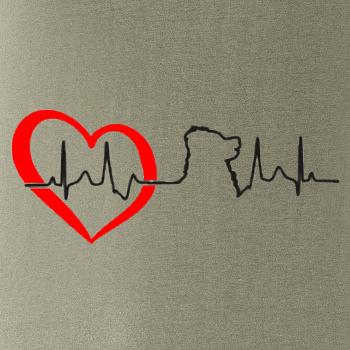 Bernský salašnický pes EKG
