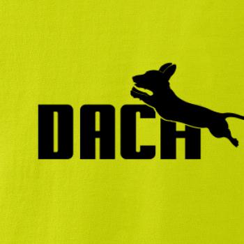 Jazvečík Dach Jazvečík Dach