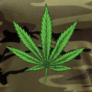 Zelený list Zelený list