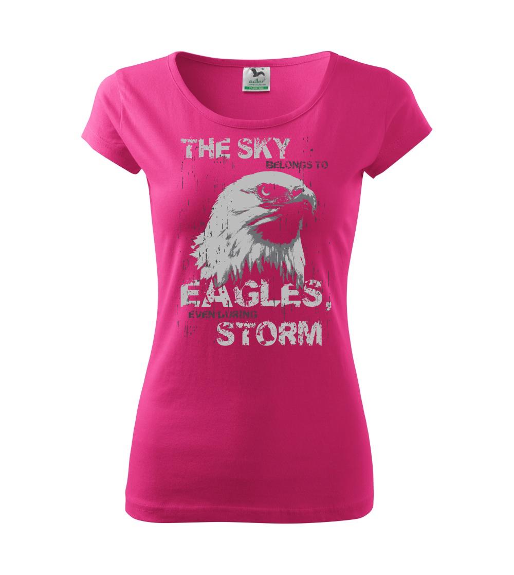 Eagle skystorm
