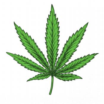 Zelený list Zelený list