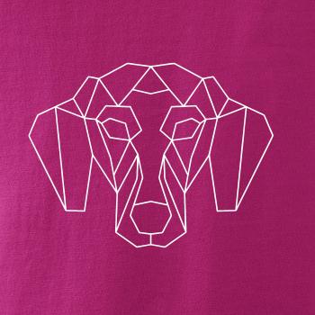 Jazvečík - Geometria 