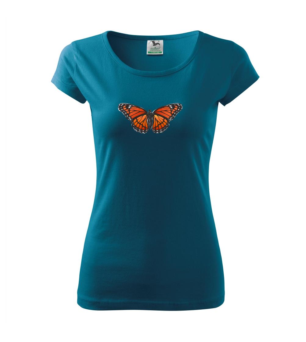 Motýľ Monarcha sťahovavý Motýľ Monarcha sťahovavý