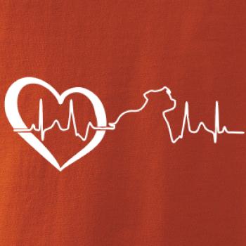 Stafordšírsky bulteriér  EKG Stafordšírsky bulteriér  EKG