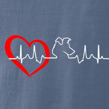 Borderská kólia EKG Borderská kólia EKG