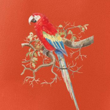 Papagáj  na listnatom strome Papagáj  na listnatom strome