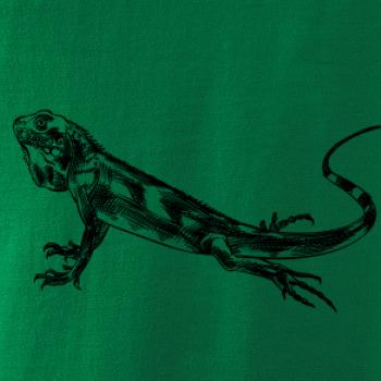 Ceruzkou kreslený Leguán