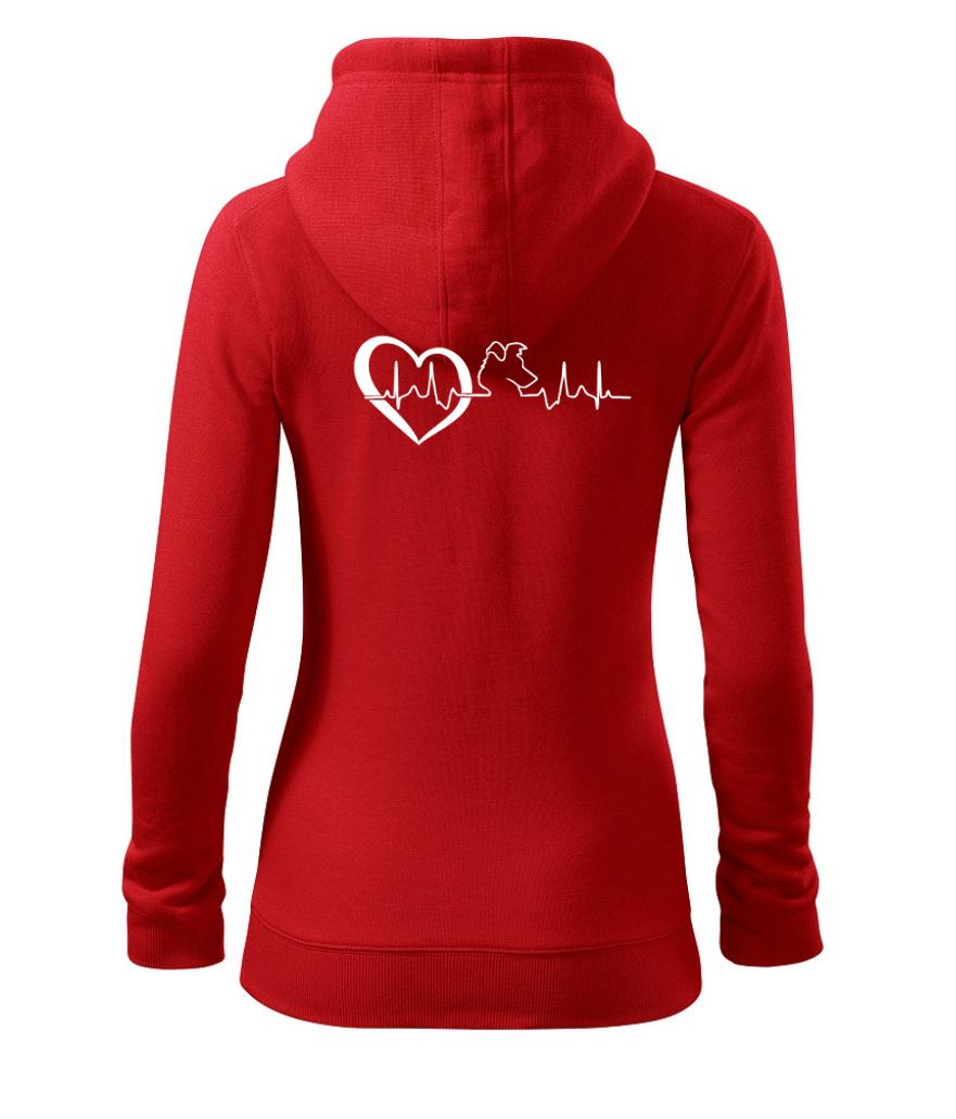 Borderská kólia EKG Borderská kólia EKG