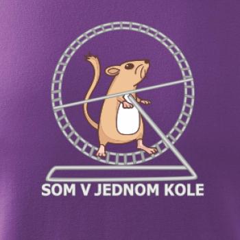 Som v jednom kole