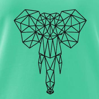 Geometria - slon chobot