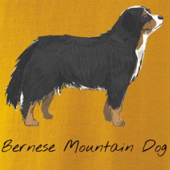 Bernese mountain dog kreslený